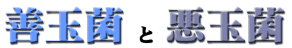 Pʋۂƈʋ