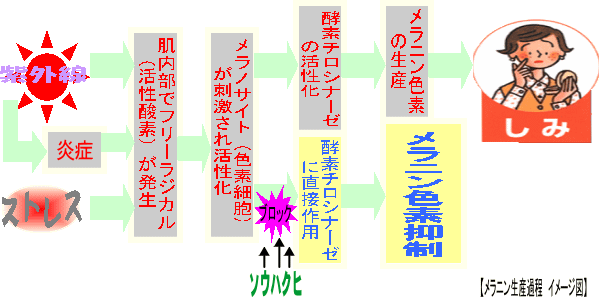jYߒ@C[W}