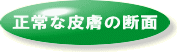 Ȕ畆̒f