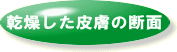畆̒f